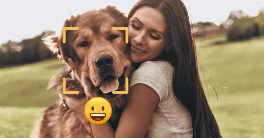How Satisfied Are Your Pets With You?